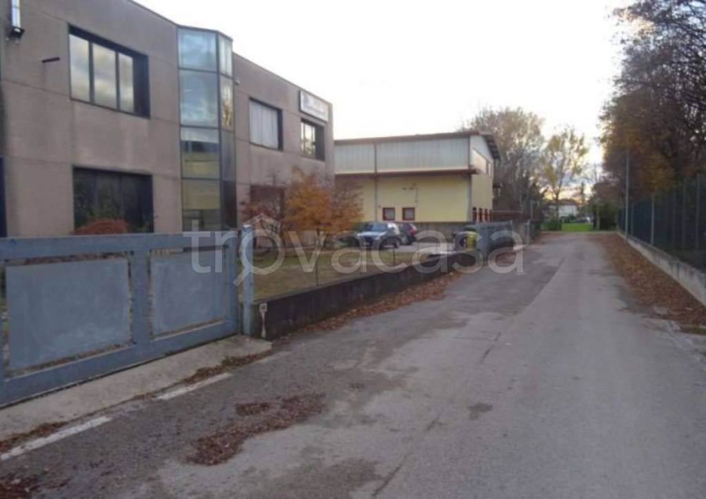 immagine annuncio 3 di 12