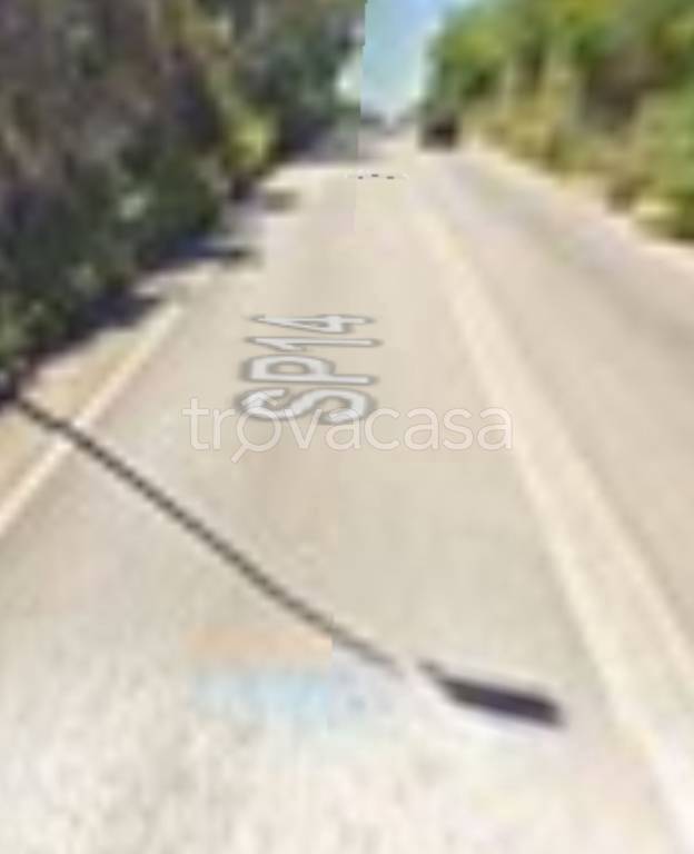 immagine annuncio 6 di 12