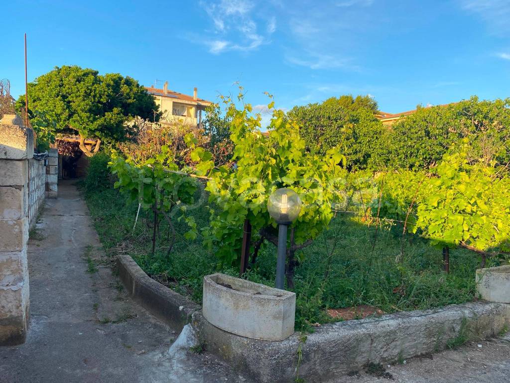 immagine annuncio 4 di 9