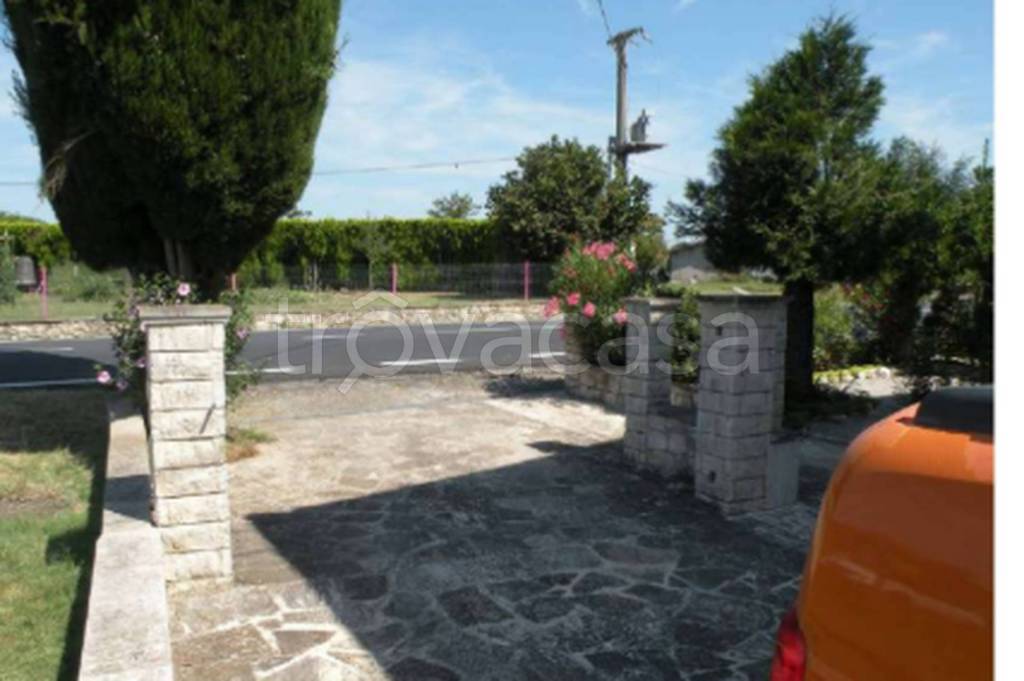 immagine annuncio 4 di 12