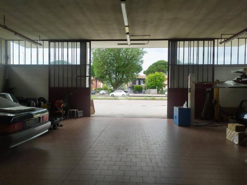 immagine annuncio 6 di 12