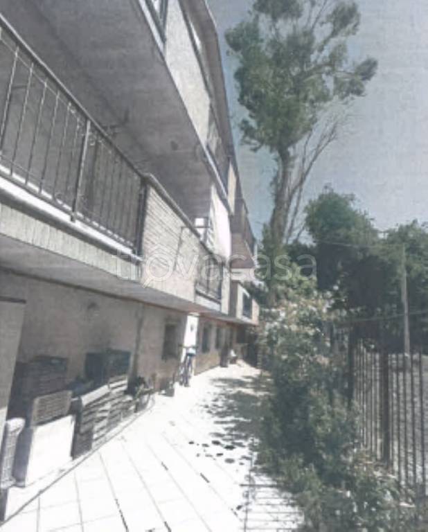 immagine annuncio 5 di 11