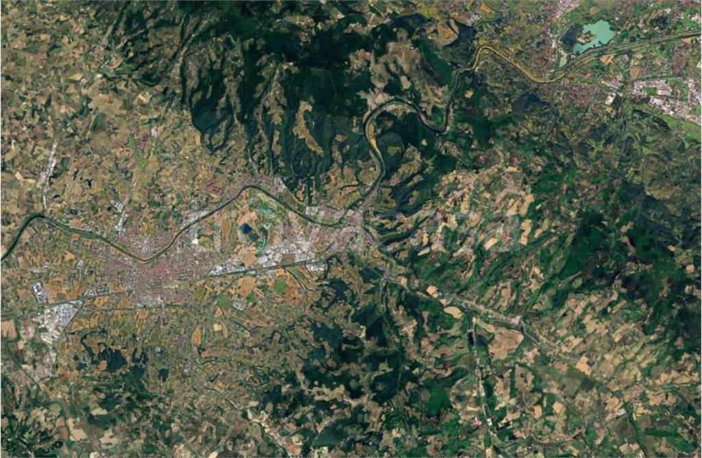 immagine annuncio 9 di 14