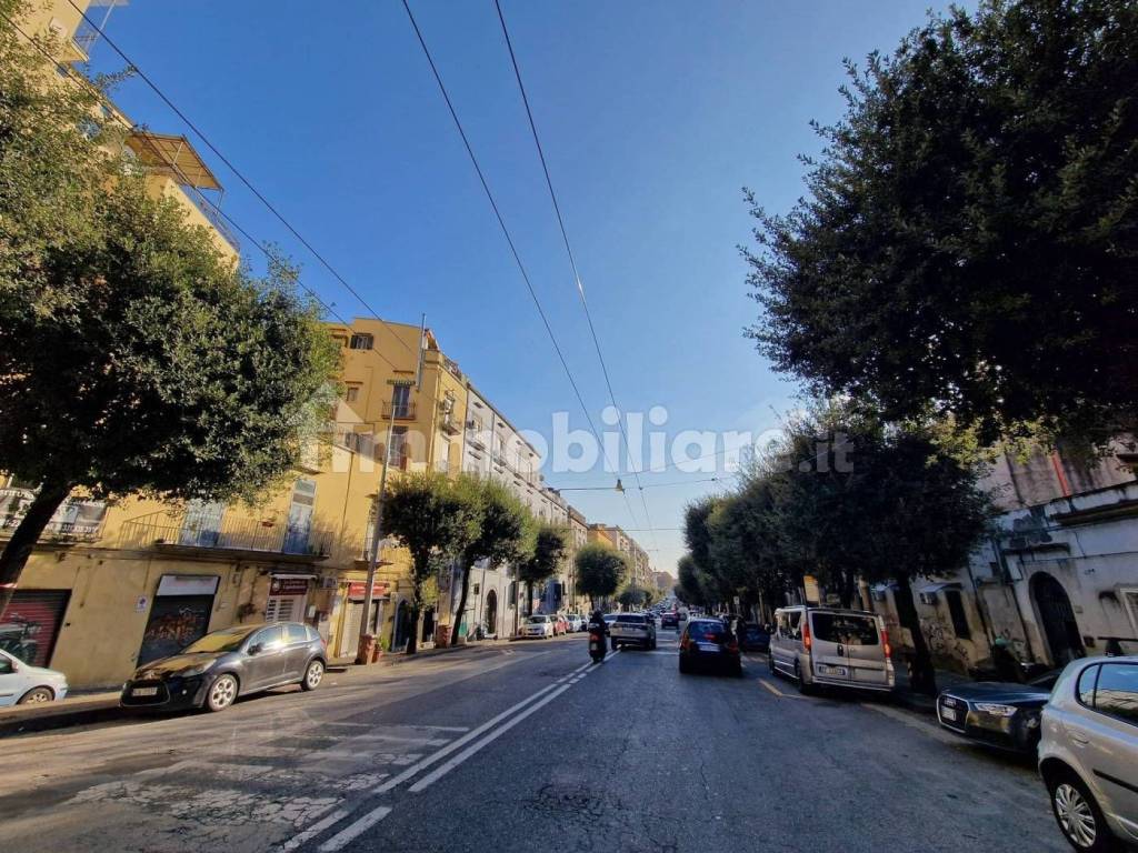 immagine annuncio 1 di 11