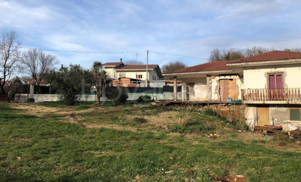 immagine annuncio 1 di 12