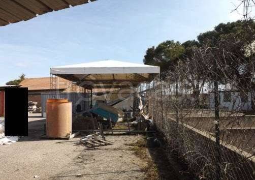 immagine annuncio 6 di 7