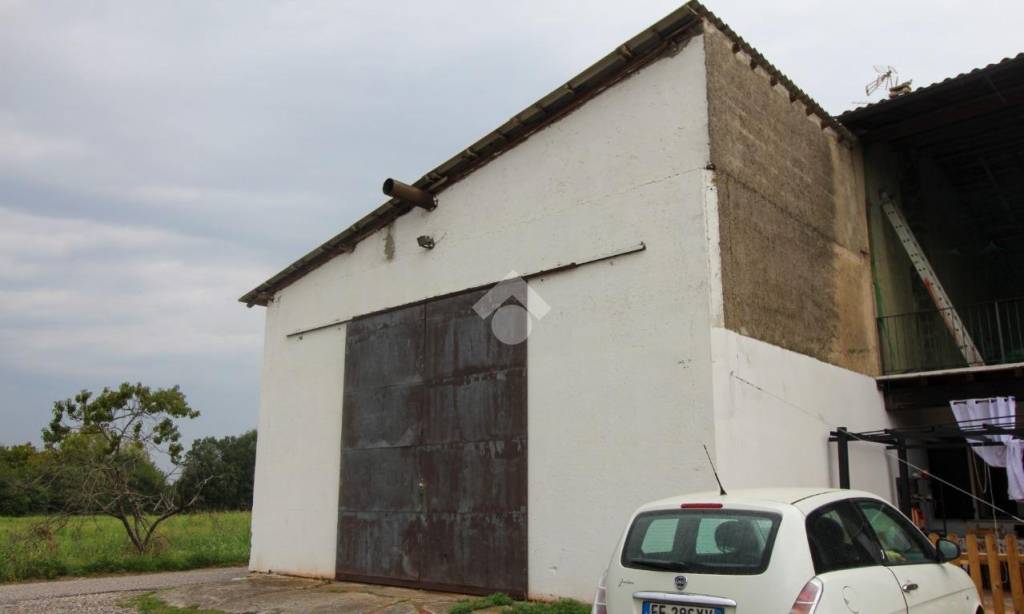 immagine annuncio 4 di 8