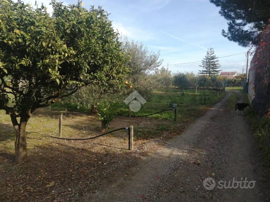 immagine annuncio 3 di 7