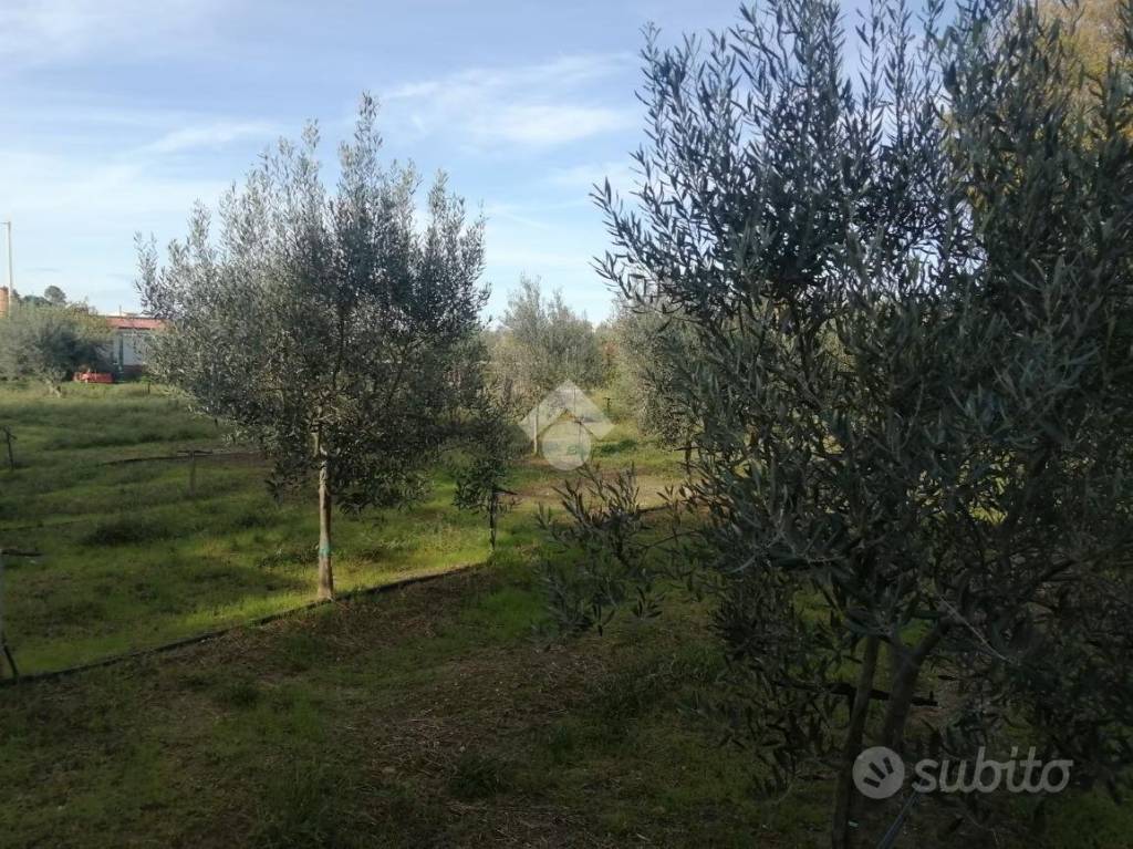 immagine annuncio 4 di 7