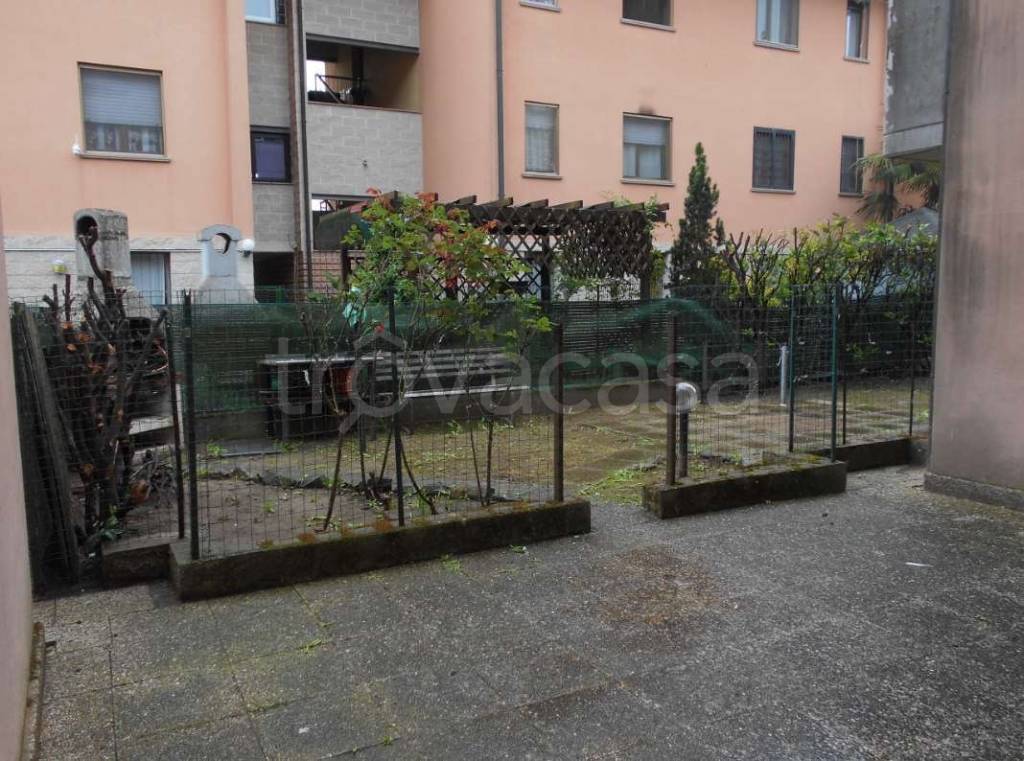 immagine annuncio 3 di 11