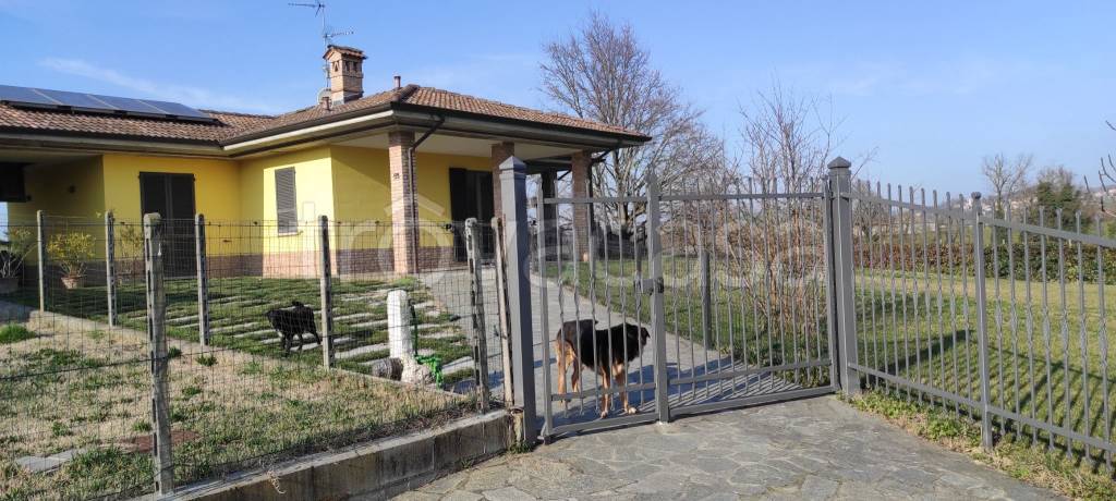 immagine annuncio 2 di 15