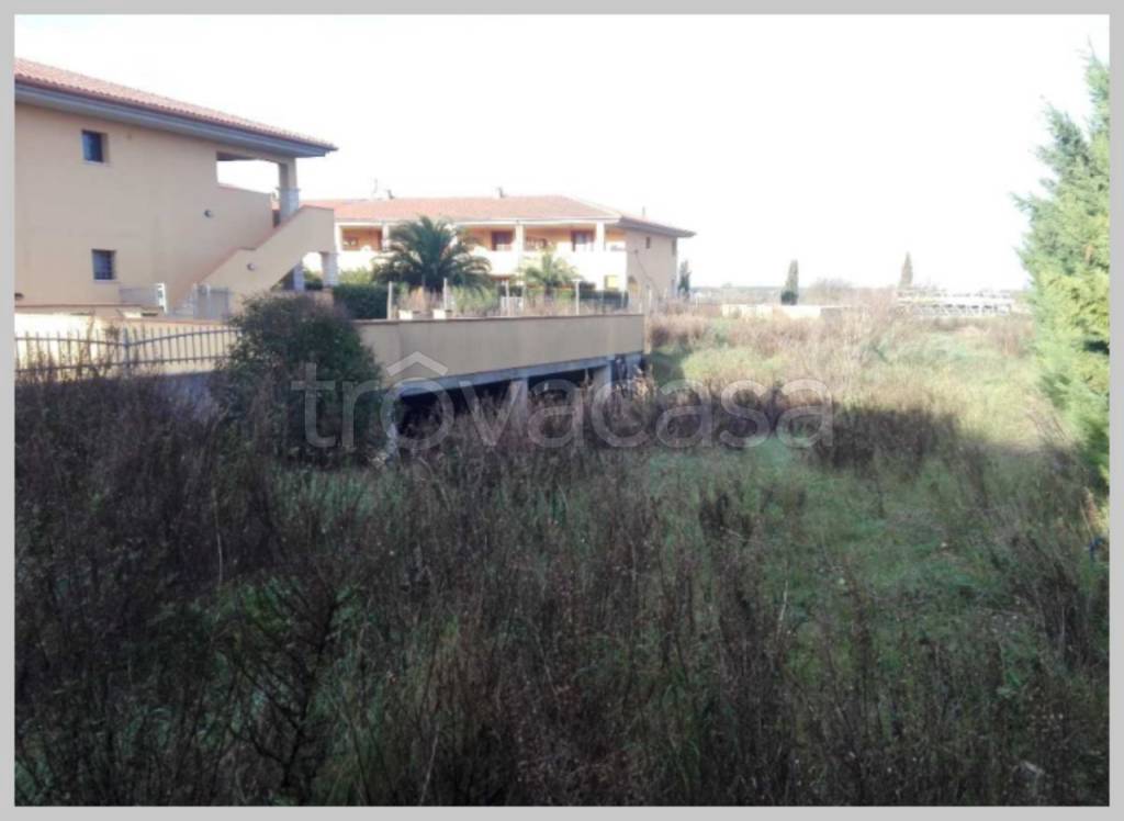 immagine annuncio 12 di 15