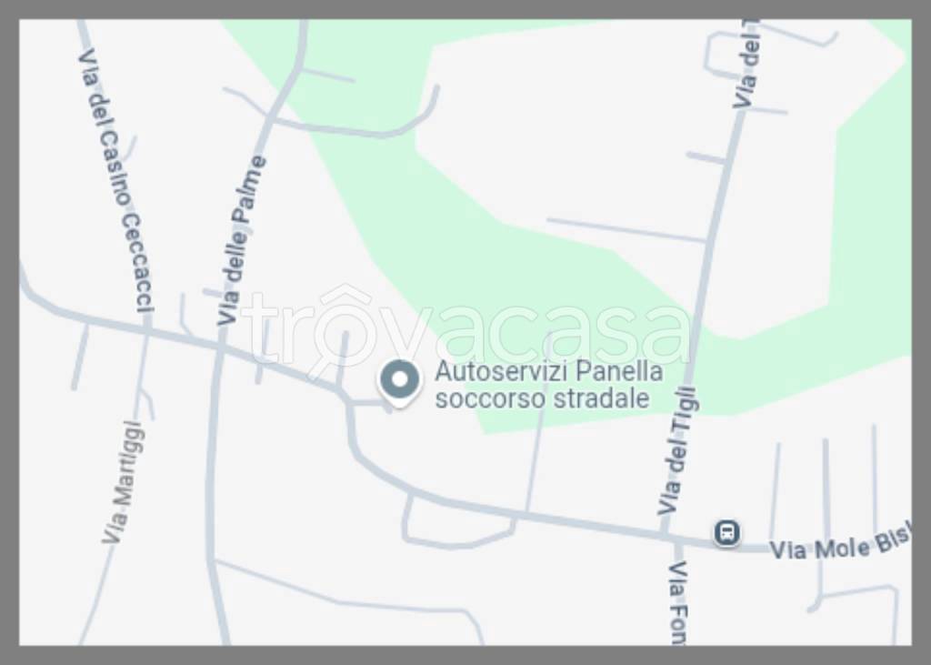 immagine annuncio 14 di 15