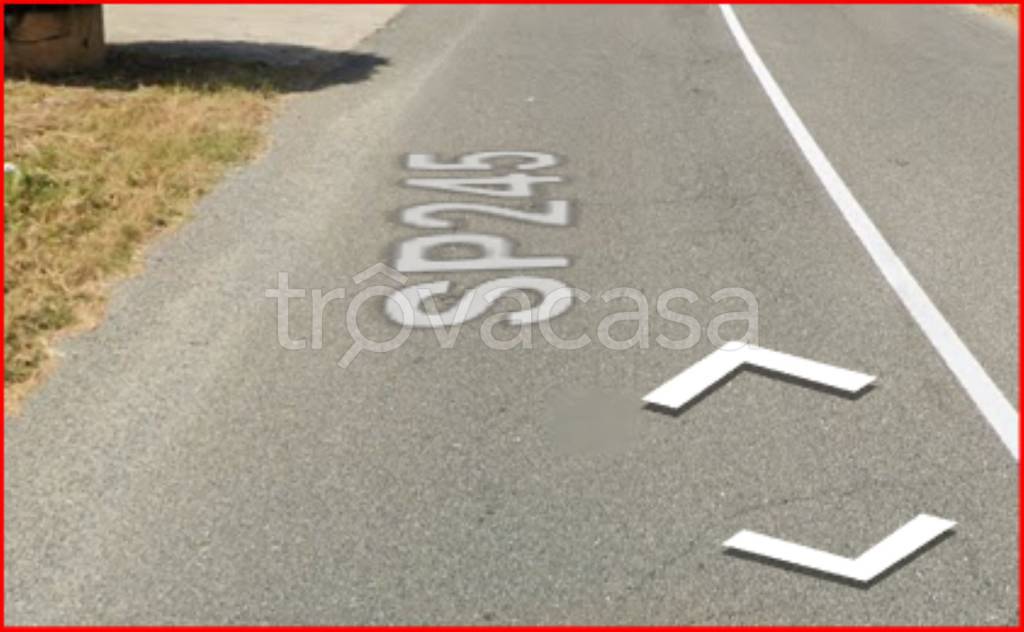 immagine annuncio 7 di 13