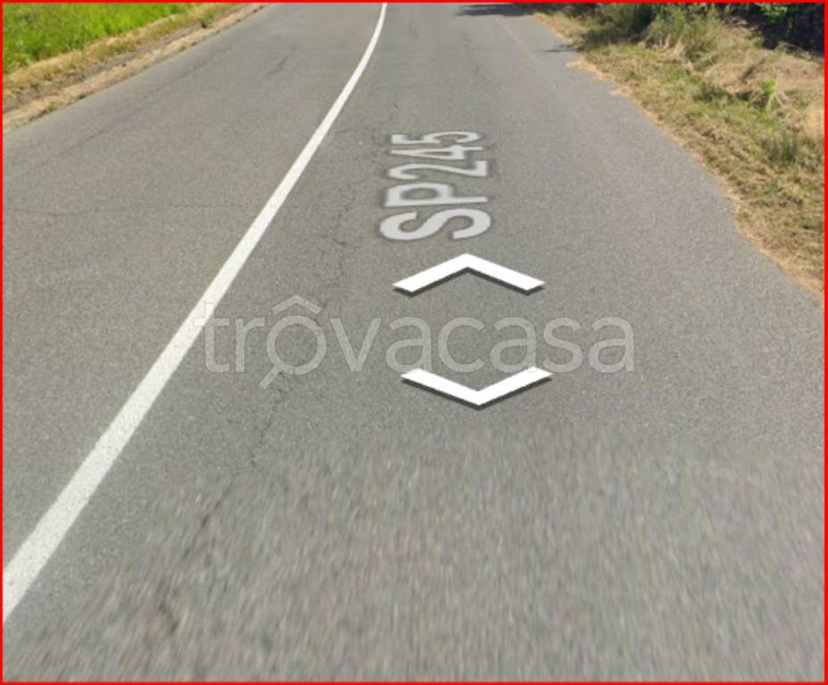 immagine annuncio 6 di 13