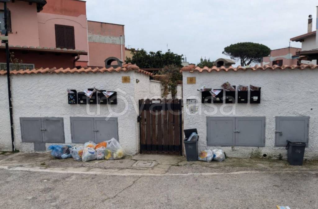 immagine annuncio 1 di 14