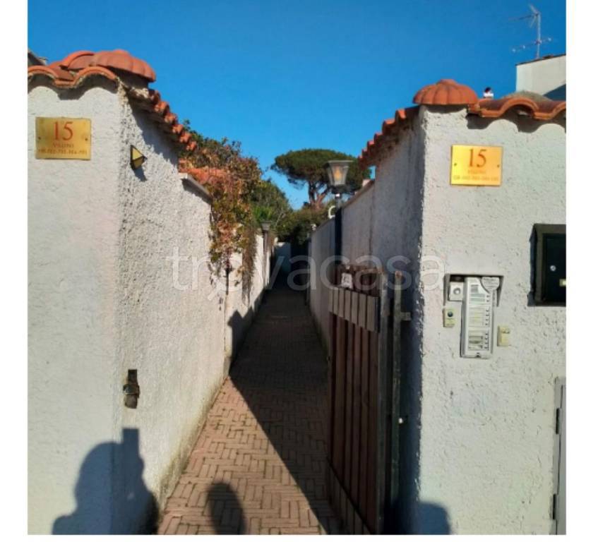 immagine annuncio 5 di 14