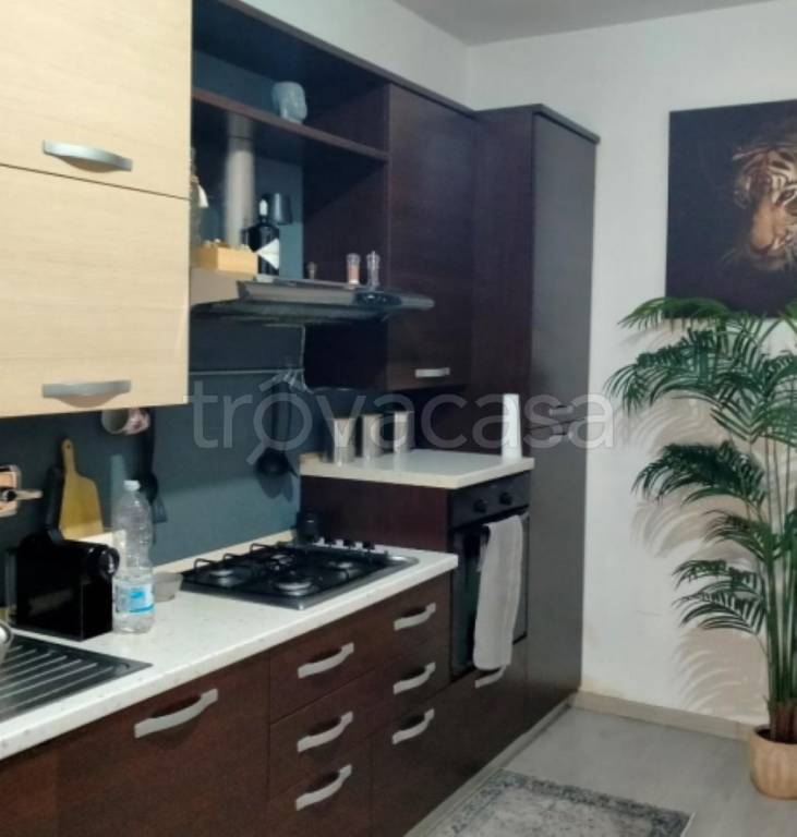 immagine annuncio 10 di 14