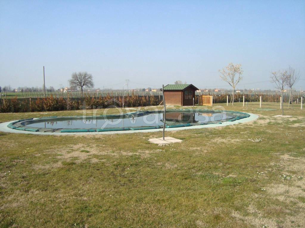 immagine annuncio 8 di 12