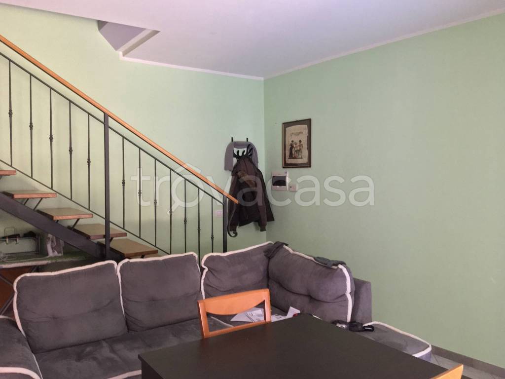 immagine annuncio 3 di 14