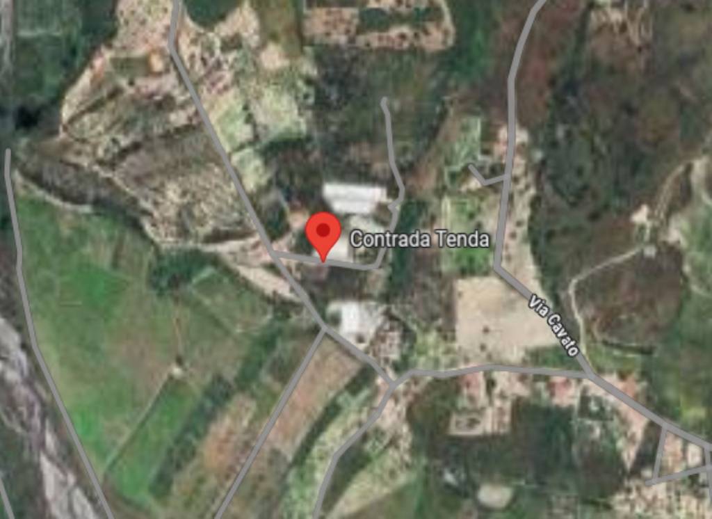 immagine annuncio 9 di 12