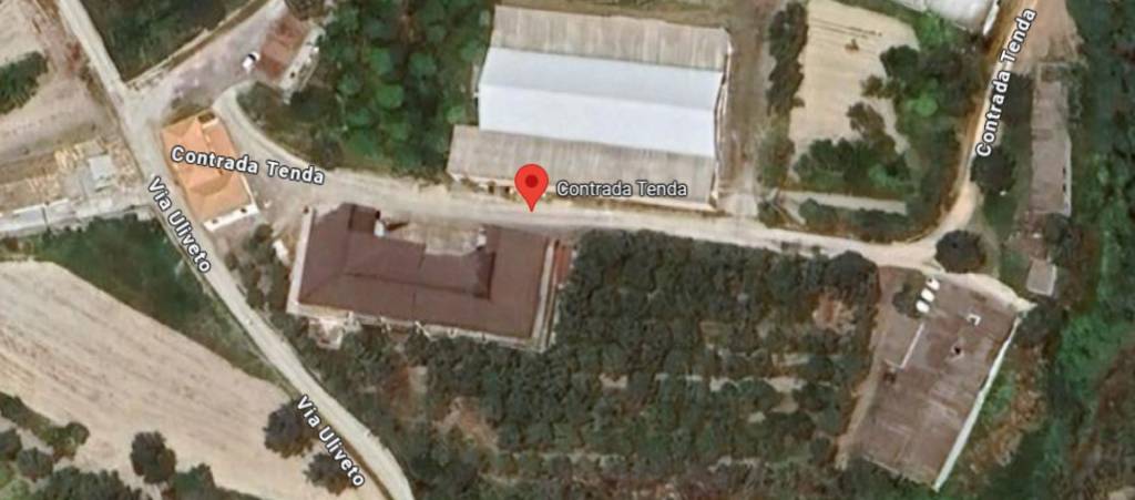 immagine annuncio 10 di 12