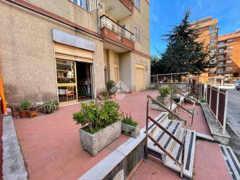 immagine annuncio 2 di 8