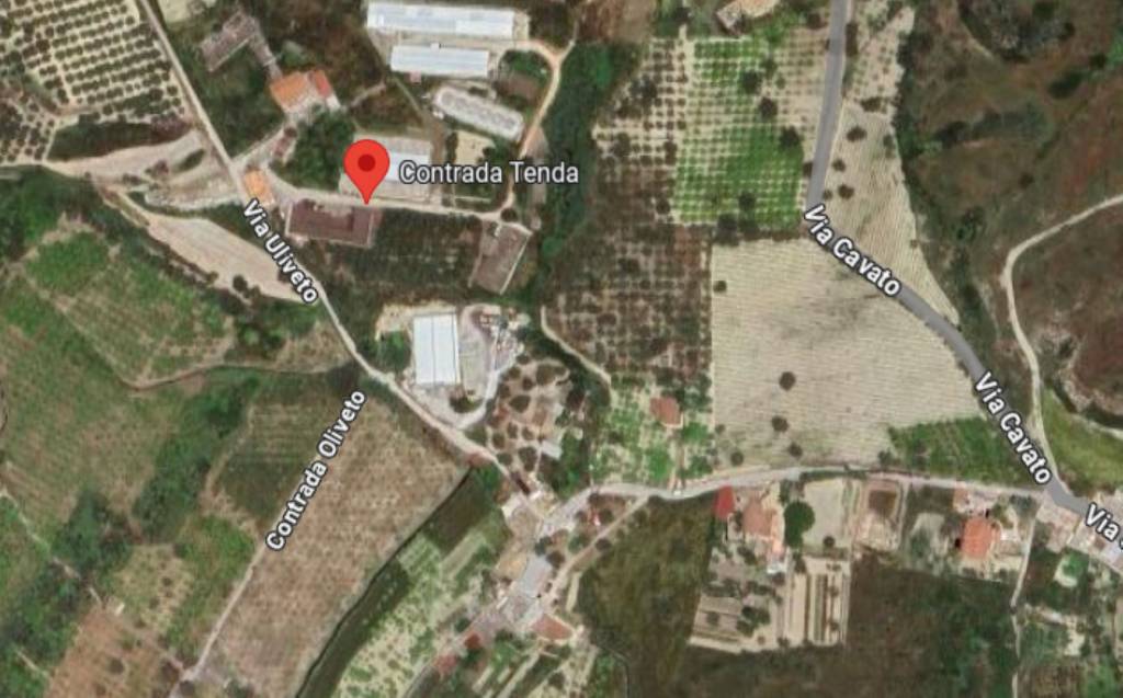 immagine annuncio 6 di 12