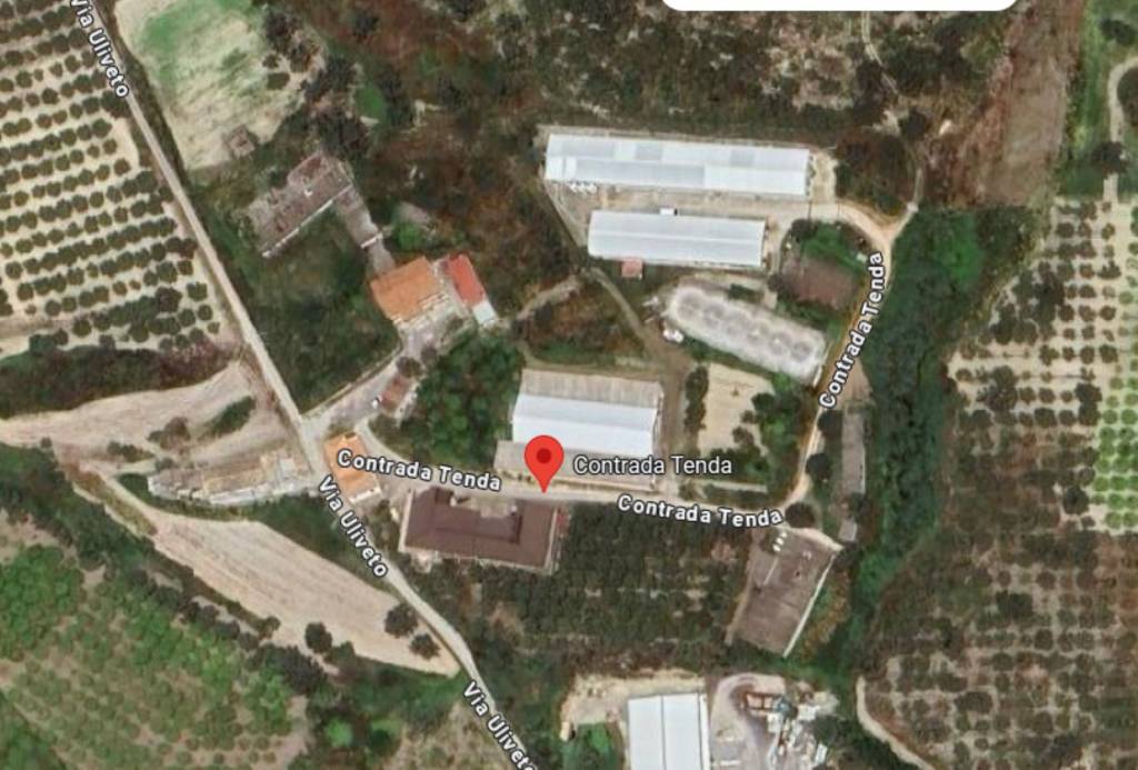 immagine annuncio 9 di 12