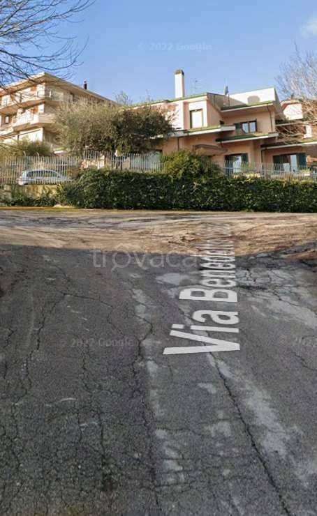 immagine annuncio 12 di 15