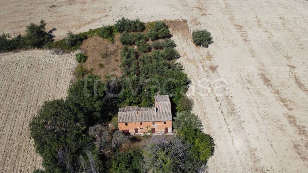 immagine annuncio 2 di 6