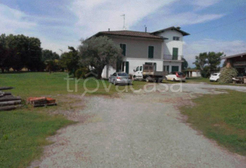 immagine annuncio 2 di 12