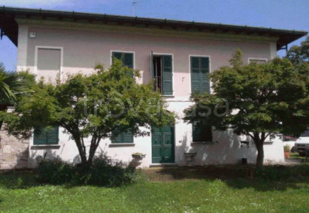 immagine annuncio 9 di 12