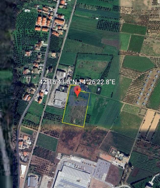 immagine annuncio 1 di 9