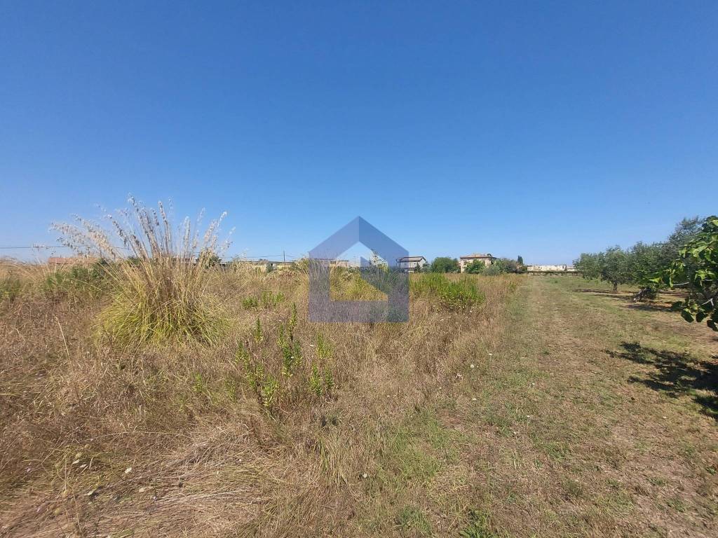 immagine annuncio 4 di 9