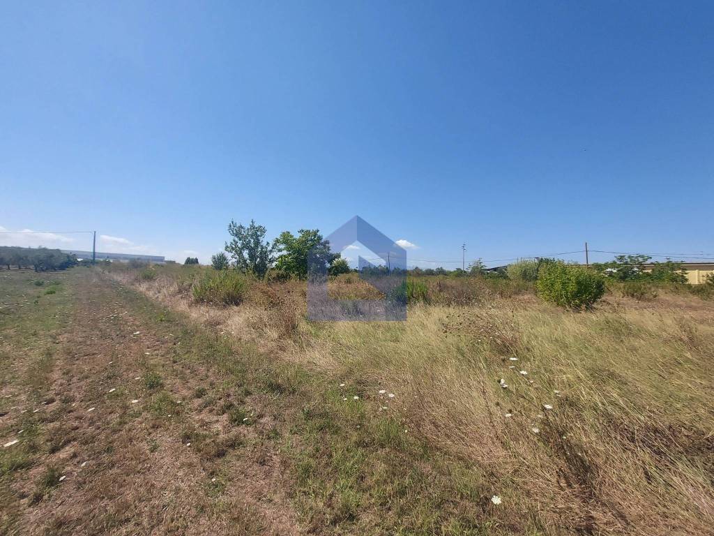 immagine annuncio 5 di 9