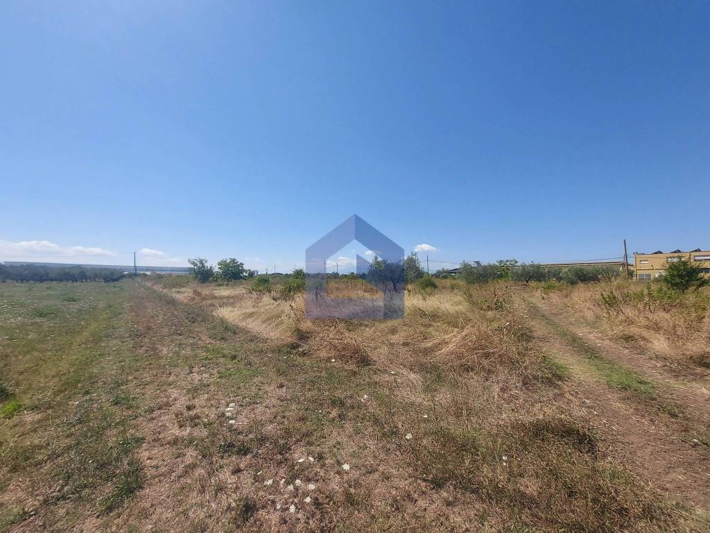 immagine annuncio 6 di 9