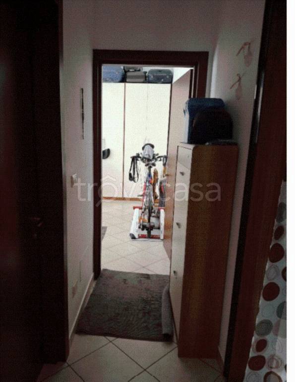 immagine annuncio 3 di 8