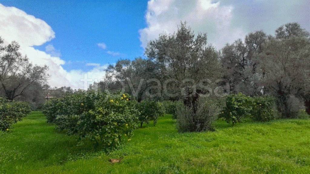 immagine annuncio 2 di 4