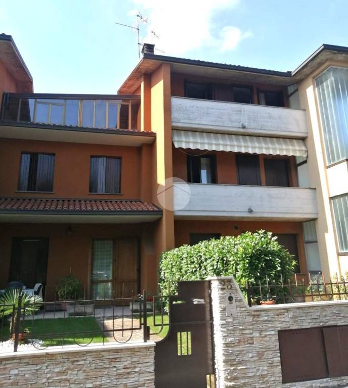 immagine annuncio 3 di 15