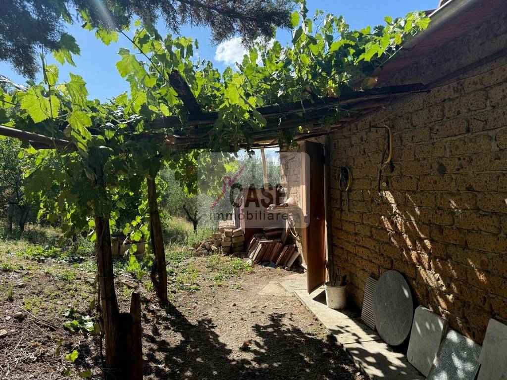 immagine annuncio 2 di 11