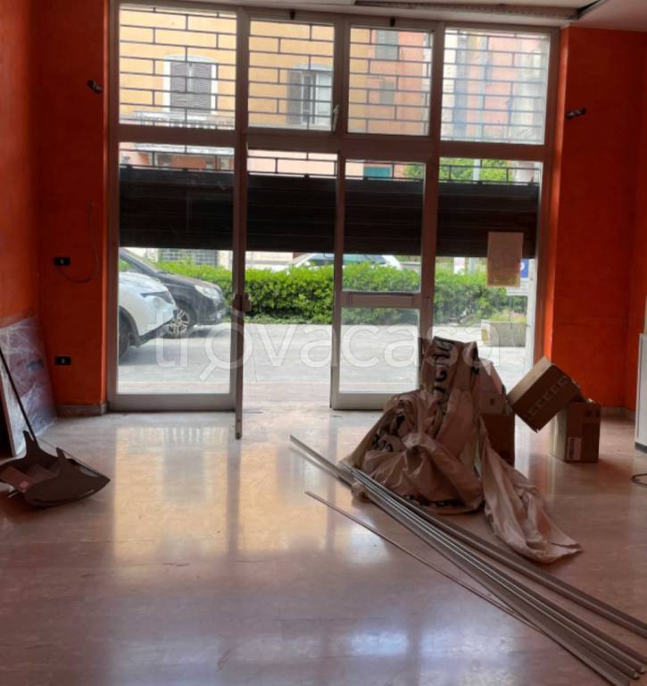 immagine annuncio 2 di 12