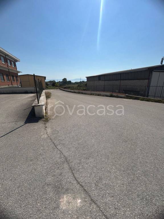 immagine annuncio 9 di 12