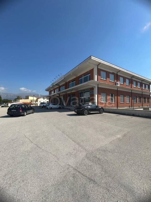 immagine annuncio 11 di 12