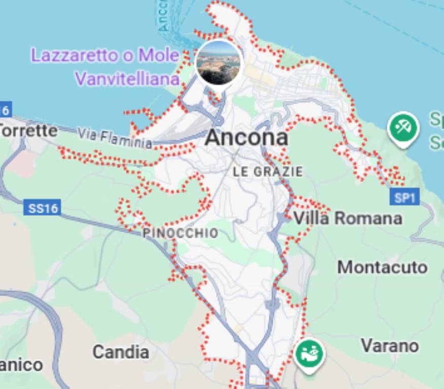immagine annuncio 10 di 12