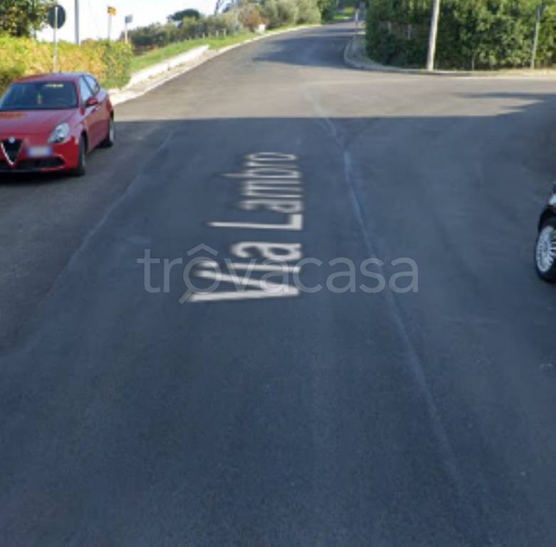 immagine annuncio 11 di 12
