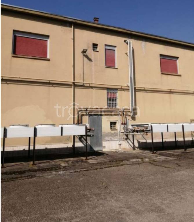 immagine annuncio 9 di 14