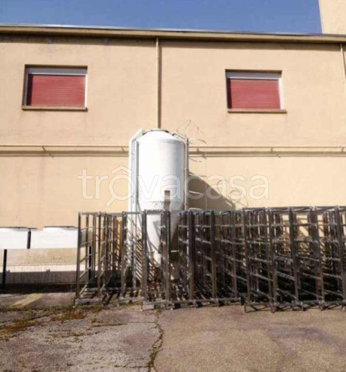 immagine annuncio 10 di 14