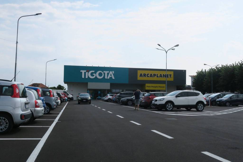immagine annuncio 3 di 13