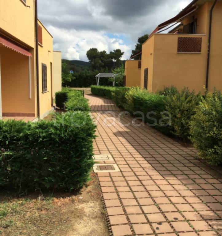 immagine annuncio 9 di 12